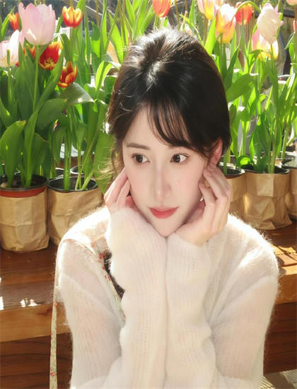 yy高清视频在线观看_十二谭免费观看完整版_奋斗在线观看